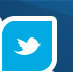 Siga-nos no Twitter